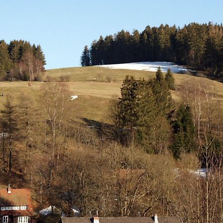 Ferienwohnung Himmelblau - Altenau Harz Buitenkant foto